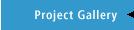 Project Gallery
